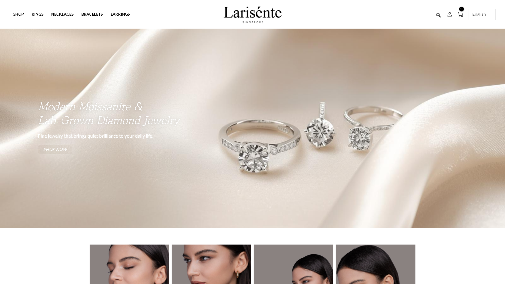 Larisénte website homepage screenshot